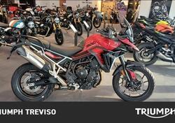 Triumph Tiger 900 GT Pro (2024 - 25) usata