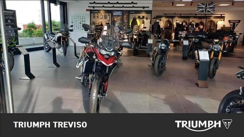Triumph Tiger 900 GT Pro (2024 - 25) (3)