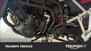 Triumph Tiger 900 GT Pro (2024 - 25) (7)