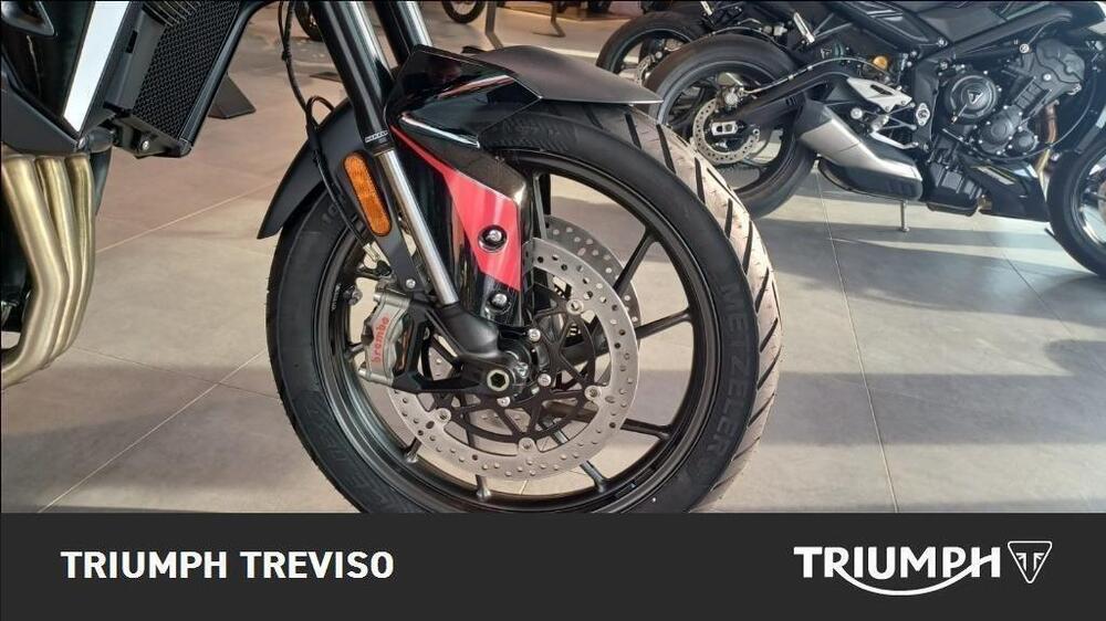 Triumph Tiger 900 GT Pro (2024 - 25) (4)