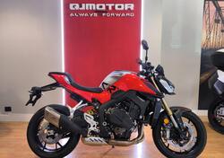 QJ Motor SRK 800 (2025) nuova