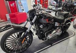 Harley-Davidson Breakout 117 (2023 - 24) usata