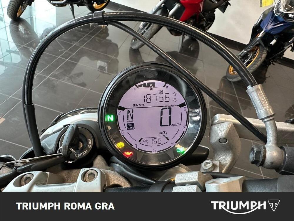 Ducati Scrambler 800 Desert Sled (2017 - 20) (4)