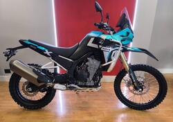 Kove 800 Rally (2025) nuova