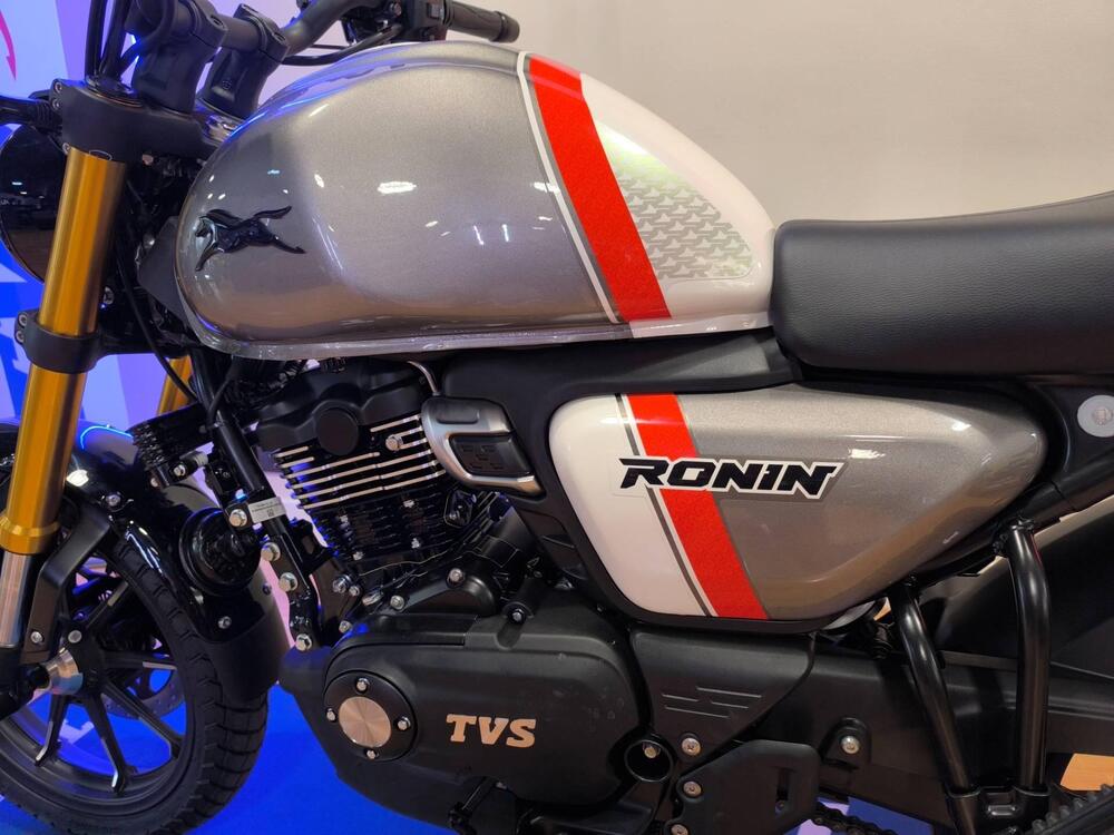 TVS Motor Ronin 250 (2024 - 25) (2)