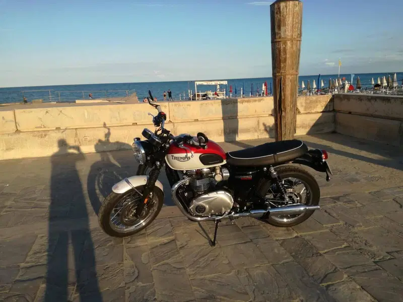 Triumph Bonneville T120 Bud Ekins SE (2020) (5)