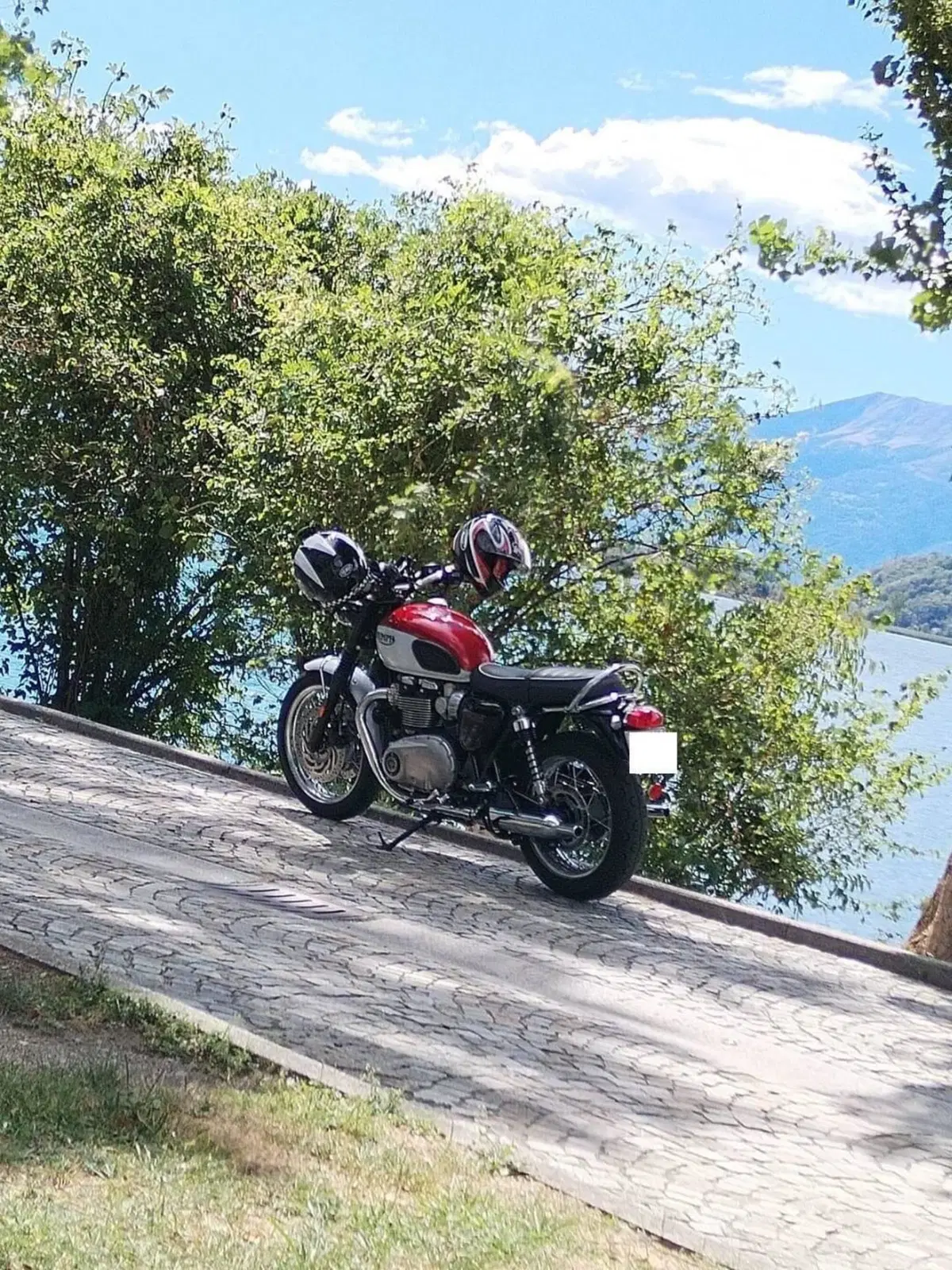 Triumph Bonneville T120 Bud Ekins SE (2020) (6)