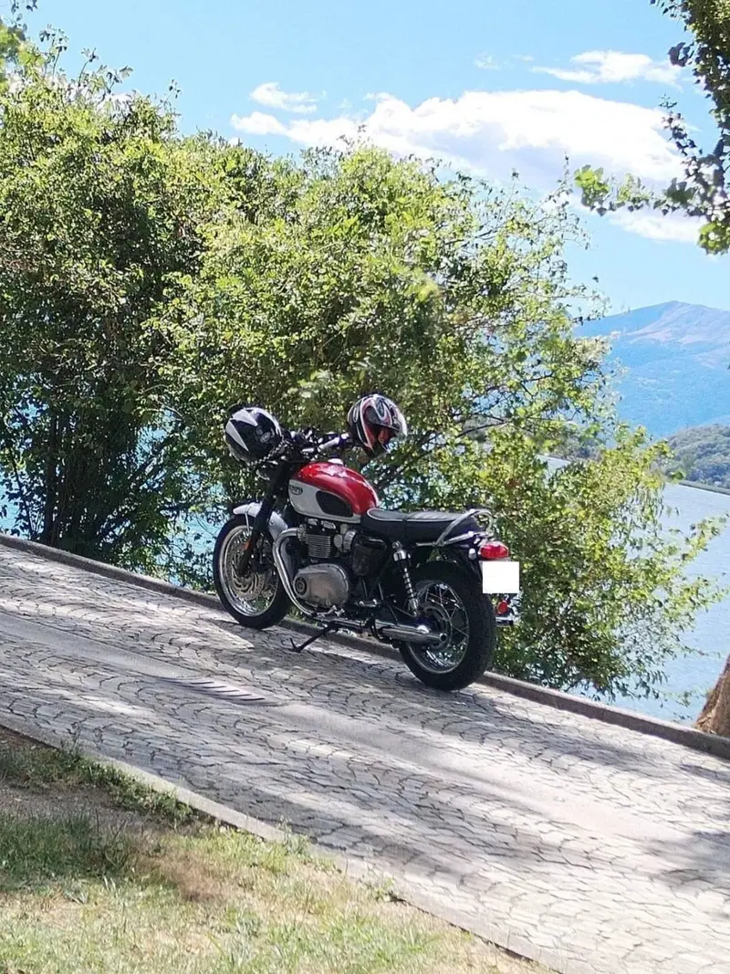 Triumph Bonneville T120 Bud Ekins SE (2020) (6)