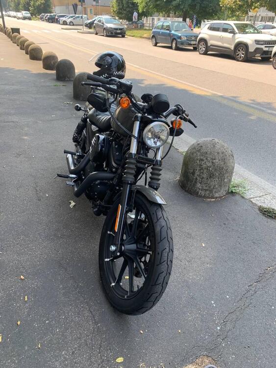 Harley-Davidson 883 Iron (2017 - 20) - XL 883N (5)