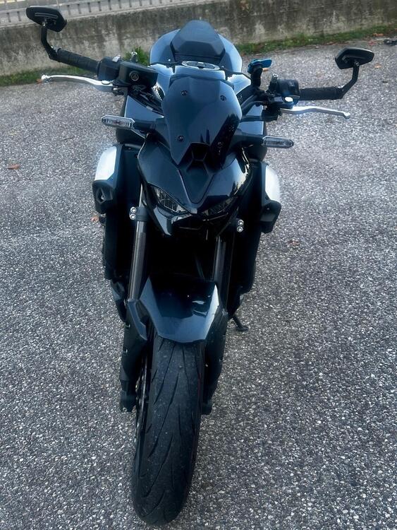 Kawasaki Z 900 (2025 - 26)