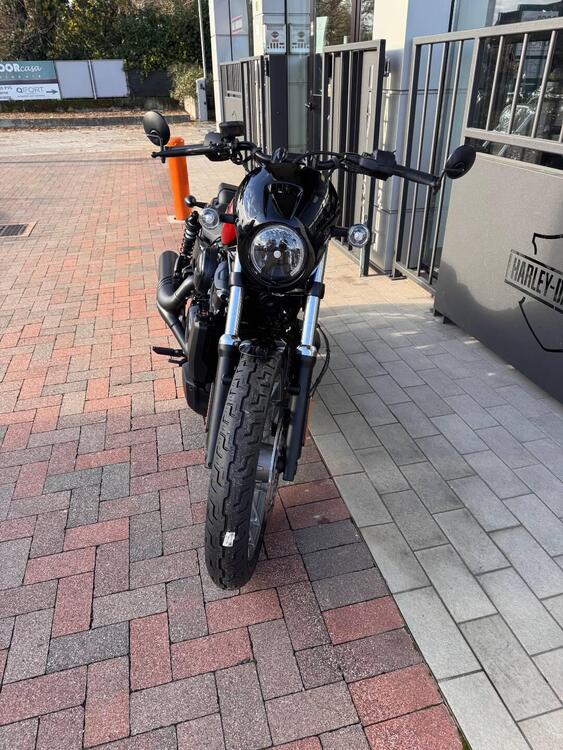 Harley-Davidson Nightster Special (2023 - 25) (3)