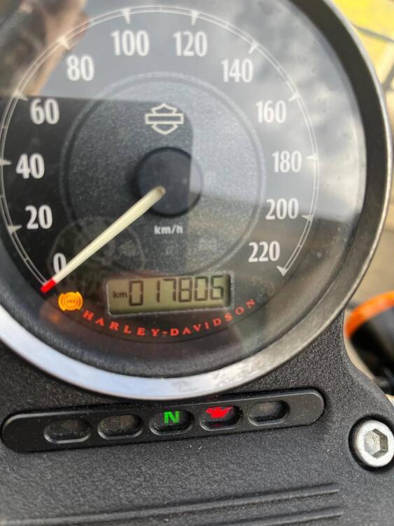 Harley-Davidson 883 Iron (2014 - 16) - XL 883N (3)