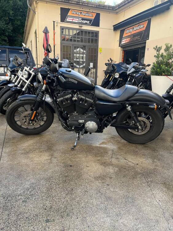 Harley-Davidson 883 Iron (2014 - 16) - XL 883N