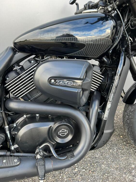 Harley-Davidson 750 Street Rod (2017 - 20) - XG 750 (2)