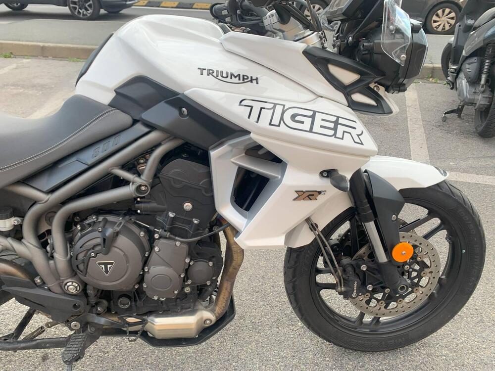 Triumph Tiger 800 XRx (2018 - 20) (5)