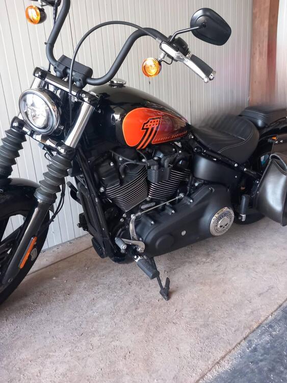 Harley-Davidson Street Bob 114 (2021 - 24) (2)