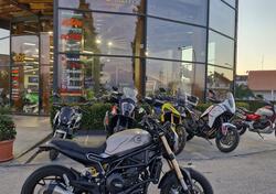 Benelli Leoncino 800 (2022 - 25) usata