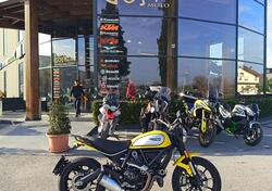 Ducati Scrambler 800 Icon (2021 - 22) usata