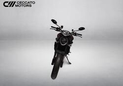 Ducati Monster 937 + (2021 - 25) usata