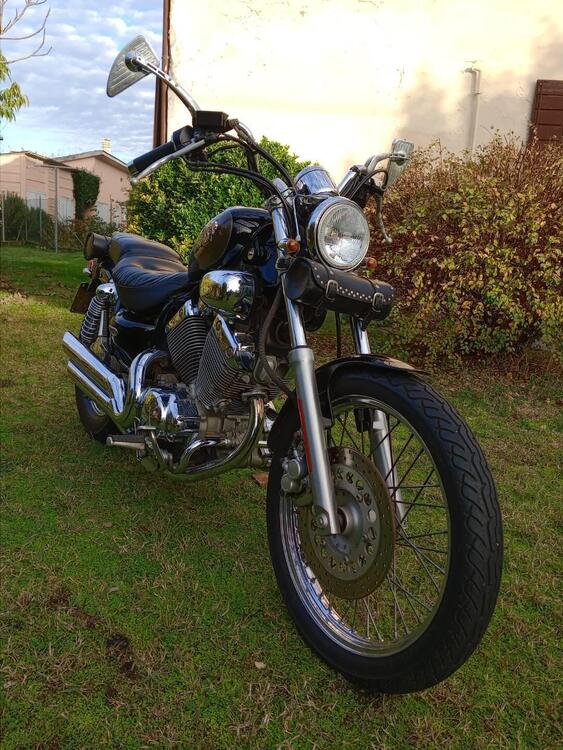 Yamaha XV 535 DX Virago (1998 - 04) (2)