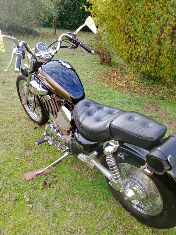 Yamaha XV 535 DX Virago (1998 - 04) (4)