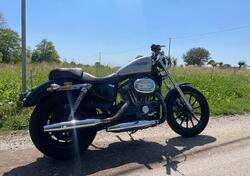 Harley-Davidson 883 Low (2005) - XL 883L usata