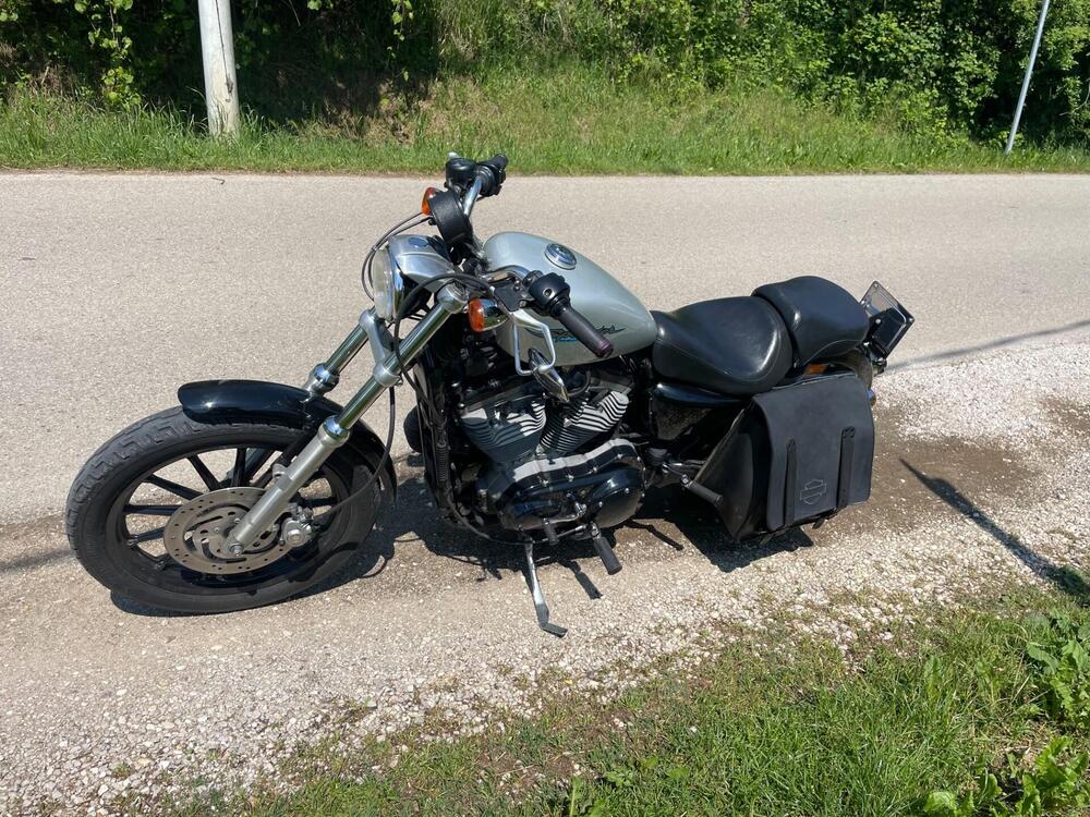 Harley-Davidson 883 Low (2005) - XL 883L (3)