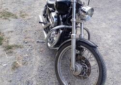 Harley-Davidson 1200 Custom (2007 - 13) - XL 1200C usata