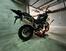 Triumph Tiger 900 Rally Pro (2020 - 23) (8)