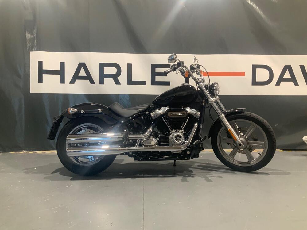 Harley-Davidson Softail Standard (2021 - 25)