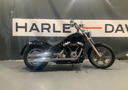 Harley-Davidson Softail Standard (2021 - 25) usata