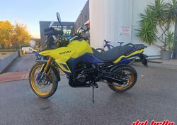 Suzuki V-Strom 800DE (2023 - 24) usata