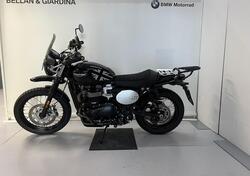 Triumph Street Scrambler 900 (2021 - 22) usata