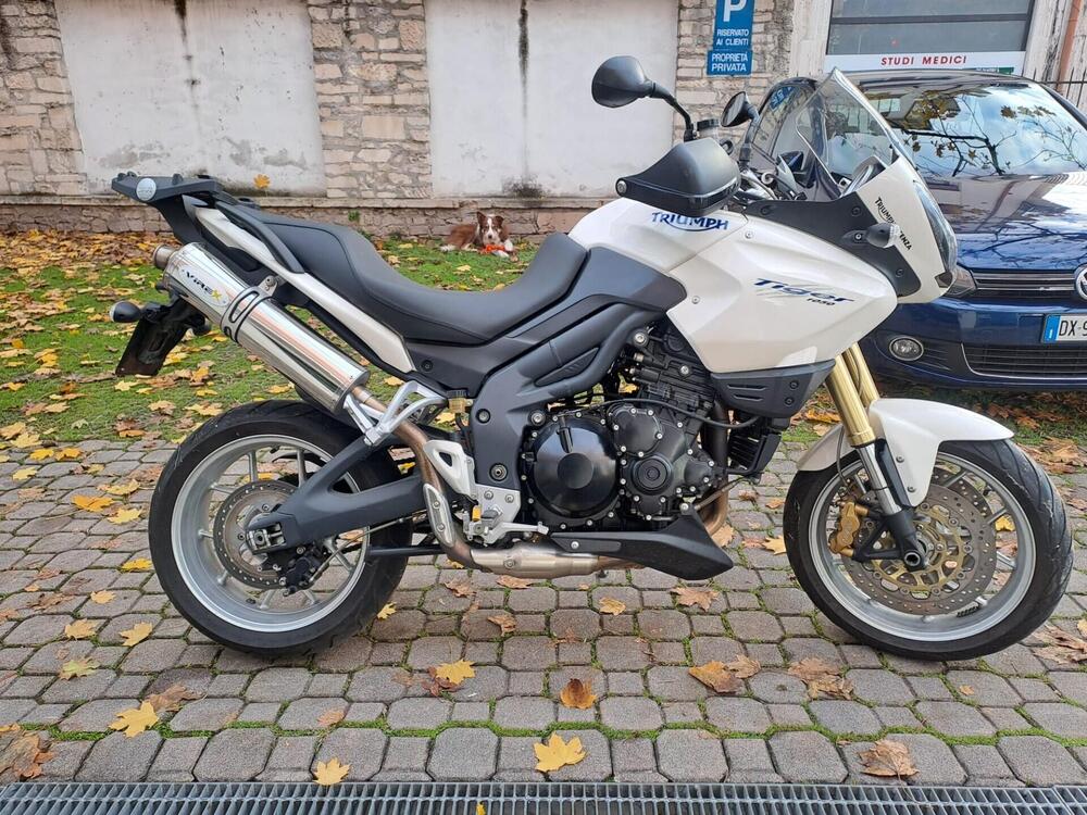 Triumph Tiger 1050 (2006 - 12) (2)