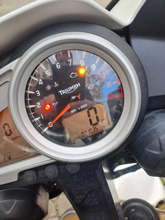 Triumph Tiger 1050 (2006 - 12) (3)