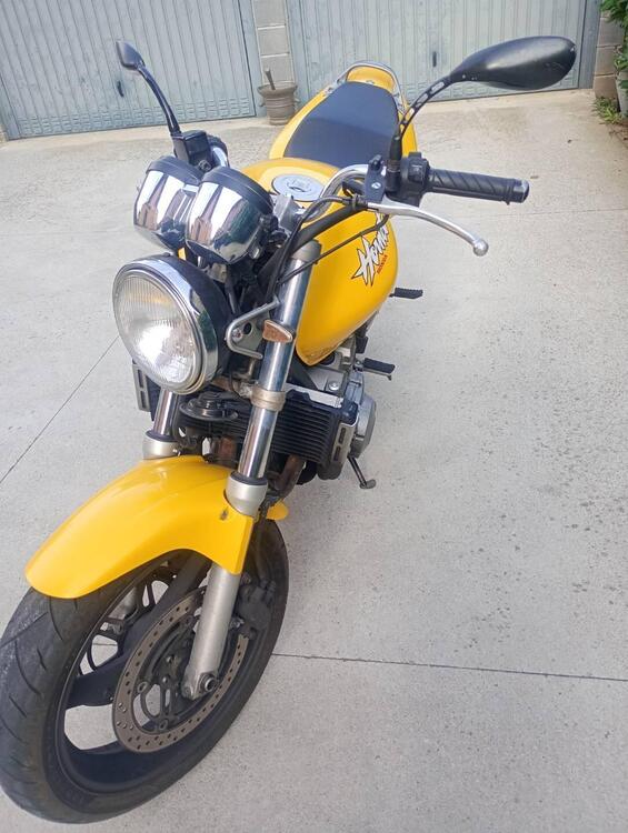 Honda Hornet 600 (2000 - 02)