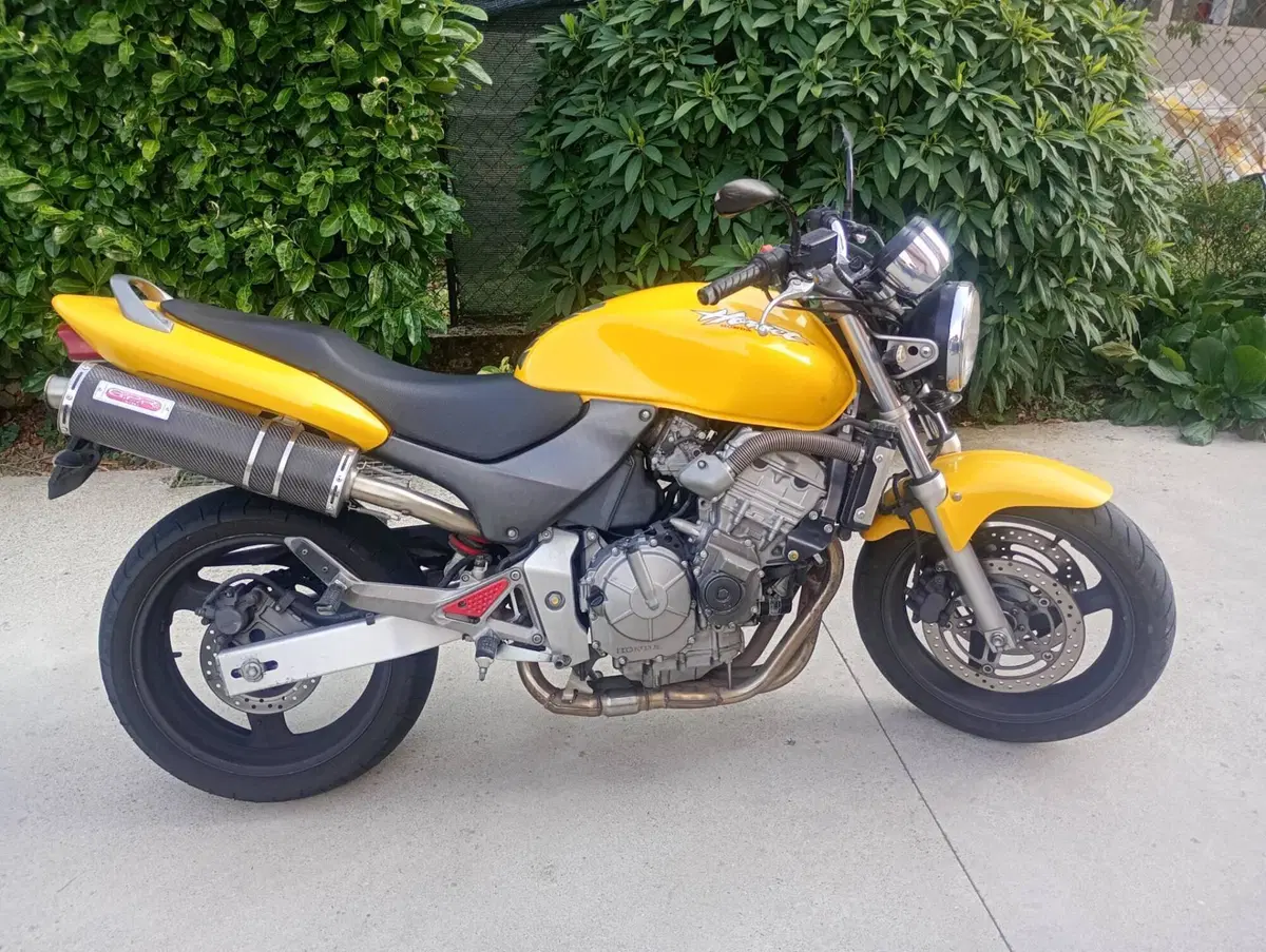Honda Hornet 600 (2000 - 02) (2)