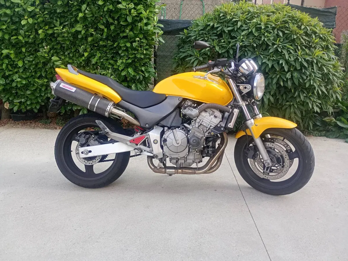 Honda Hornet 600 (2000 - 02) (5)
