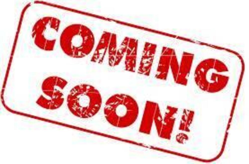 Aprilia RS 660 Extrema (2023 - 24)