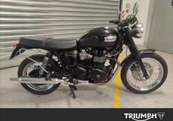 Triumph Bonneville T100 (2008 - 16) usata