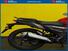 TVS Motor Raider 125 (2024 - 25) (13)