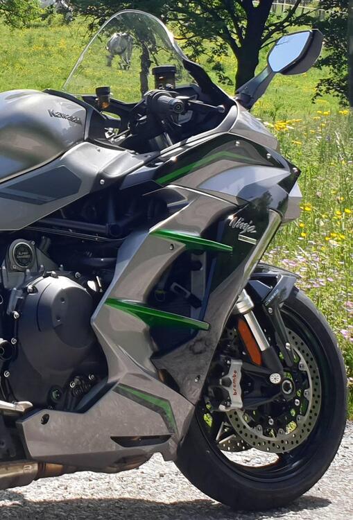 Kawasaki Ninja H2 SX SE+ (2019 - 20) (5)