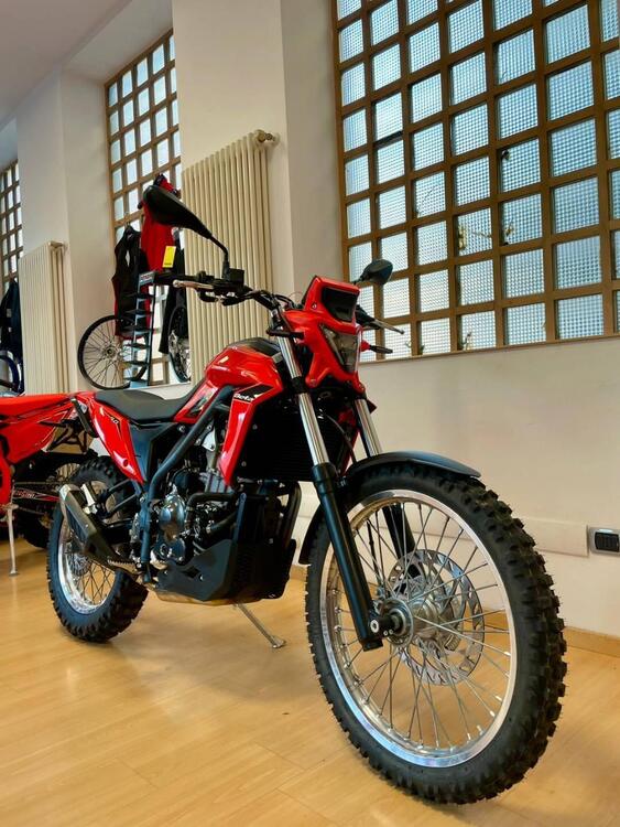 Betamotor Alp 4.0 (2024 - 25) (2)