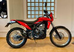 Betamotor Alp 4.0 (2024 - 25) usata