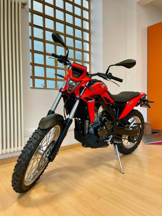 Betamotor Alp 4.0 (2024 - 25) (4)