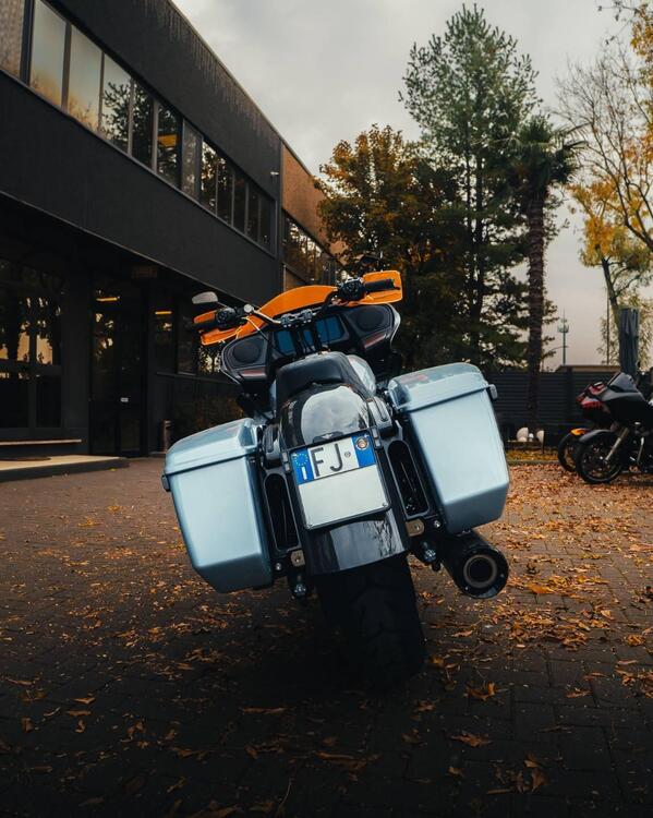 Harley-Davidson Road Glide (2024 - 25) (2)