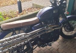 Triumph Scrambler (2006 - 17) usata