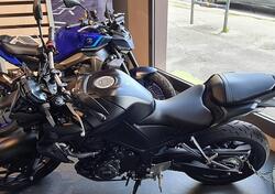 Yamaha MT-03 (2025) usata