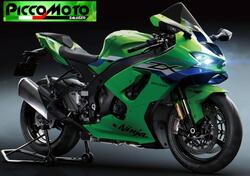 Kawasaki Ninja 1000 ZX-10R (2021 - 25) nuova
