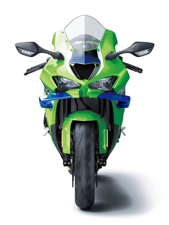 Kawasaki Ninja 1000 ZX-10R (2021 - 25) (5)